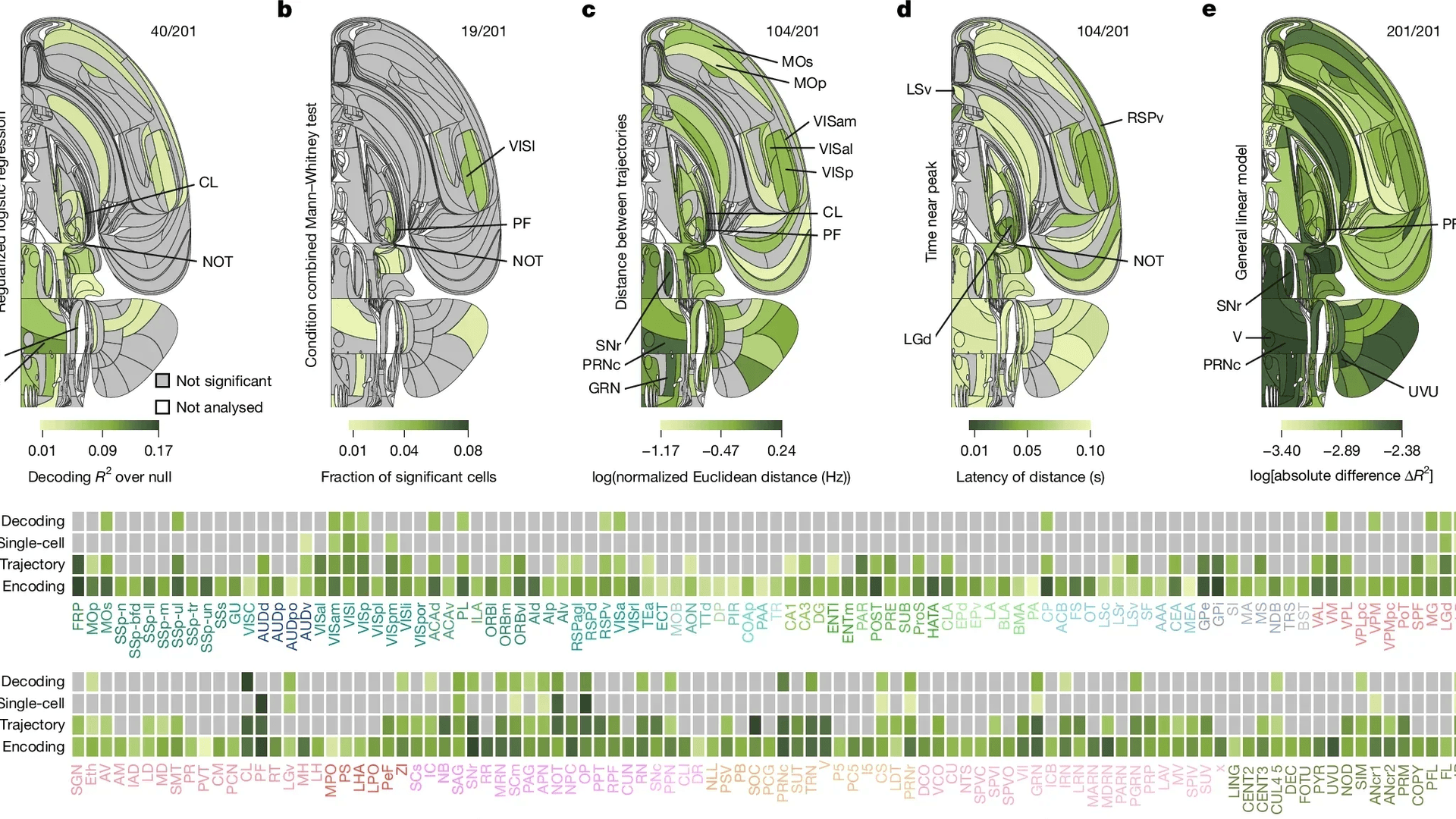 Isometric neural network illustrating fast and slow thinking pathways