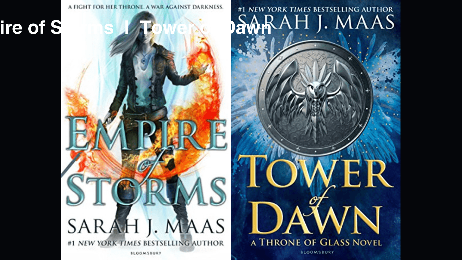 Empire of Storms and Tower of Dawn covers side by side with tandem label