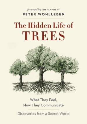 The Hidden Life of Trees cover
