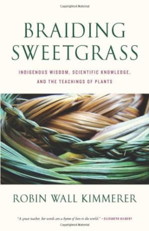 Braiding Sweetgrass cover