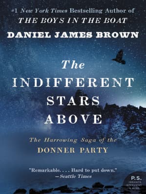 The Indifferent Stars Above cover