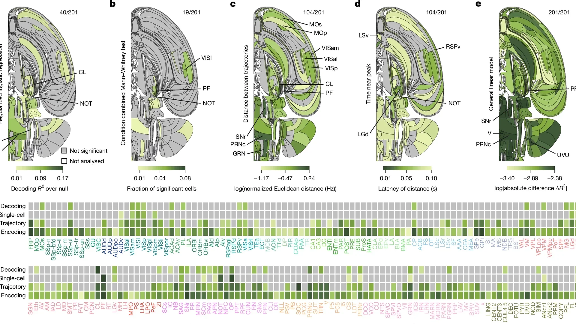 Isometric neural network illustrating fast and slow thinking pathways