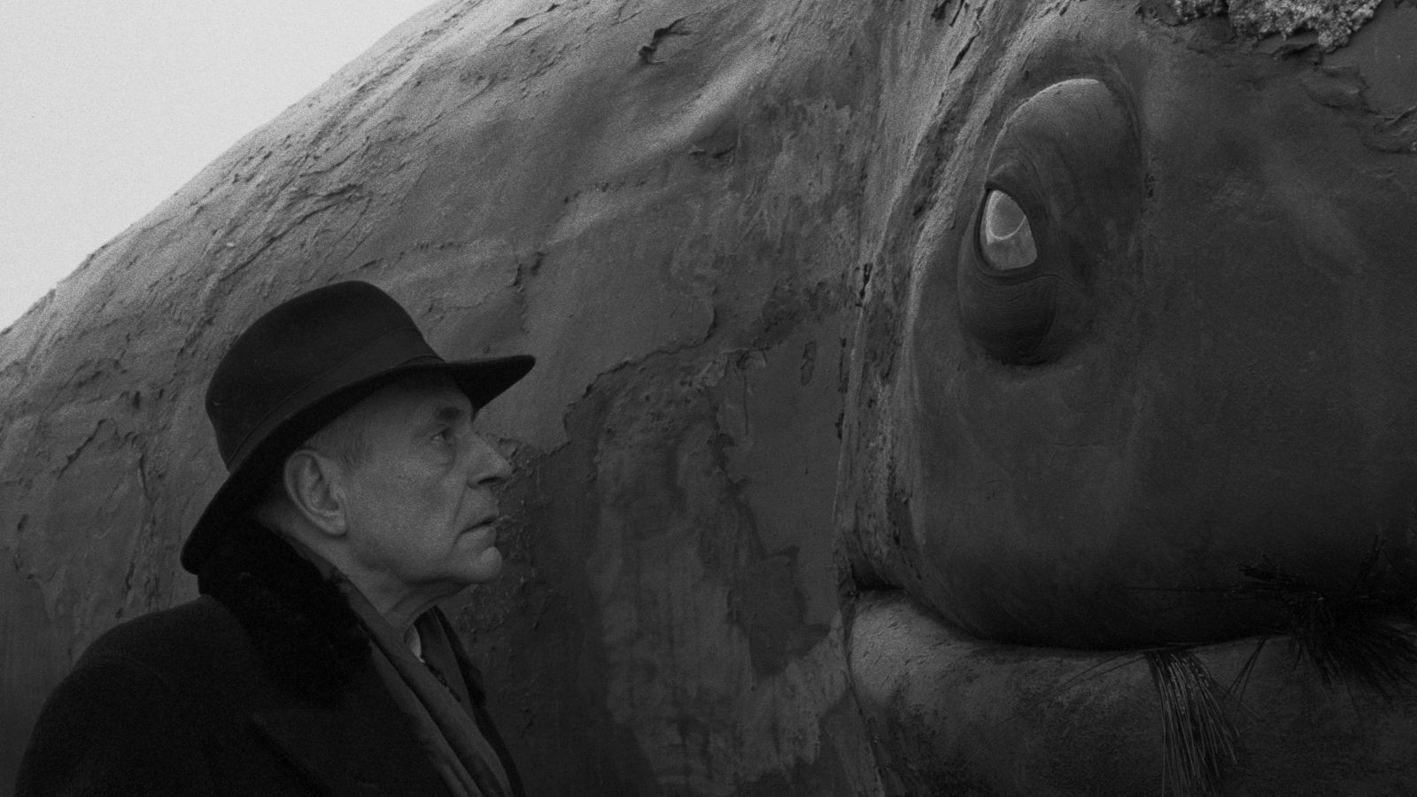 Another atmospheric moment from Werckmeister Harmonies