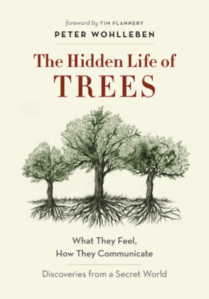 The Hidden Life of Trees cover