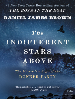 The Indifferent Stars Above cover